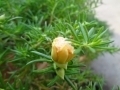 DSC00248-nggid018-ngg0dyn-120x90x100-00f0w010c011r110f110r010t010